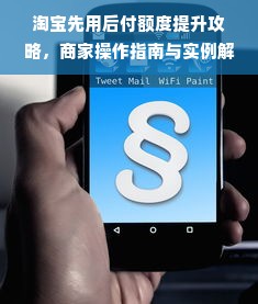 淘宝先用后付额度提升攻略，商家操作指南与实例解析