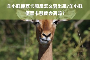 羊小咩便荔卡额度怎么套出来?羊小咩便荔卡额度会高吗？