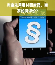 淘宝先用后付额度高，商家如何评价？