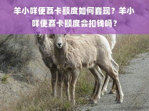 羊小咩便荔卡额度如何套现？羊小咩便荔卡额度会扣钱吗？