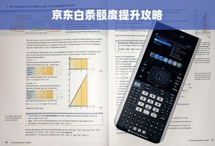 京东白条额度提升攻略
