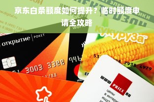 京东白条额度如何提升？临时额度申请全攻略
