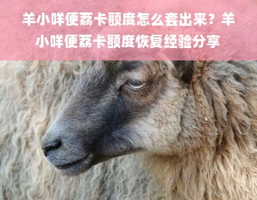 羊小咩便荔卡额度怎么套出来？羊小咩便荔卡额度恢复经验分享