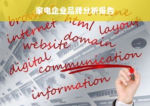 家电企业品牌分析报告