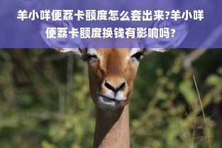 羊小咩便荔卡额度怎么套出来?羊小咩便荔卡额度换钱有影响吗?