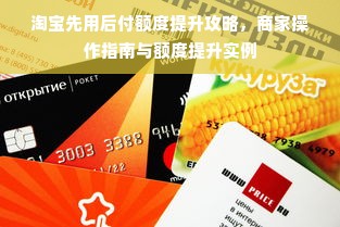 淘宝先用后付额度提升攻略，商家操作指南与额度提升实例