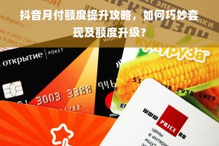 抖音月付额度提升攻略，如何巧妙套现及额度升级？