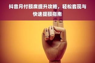 抖音月付额度提升攻略，轻松套现与快速提额指南