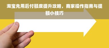 淘宝先用后付额度提升攻略，商家操作指南与提额小技巧