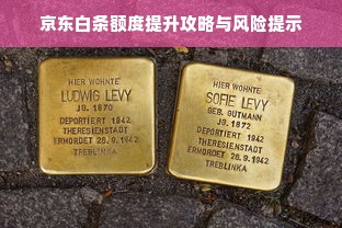 京东白条额度提升攻略与风险提示