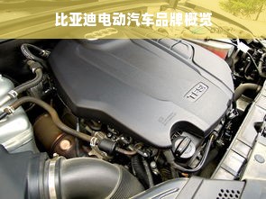 比亚迪电动汽车品牌概览