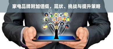 家电品牌附加值低，现状、挑战与提升策略