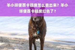 羊小咩便荔卡额度怎么套出来？羊小咩便荔卡额度红色了？