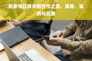 新家电品牌突围合作之路，策略、案例与实践