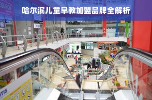 哈尔滨儿童早教加盟品牌全解析