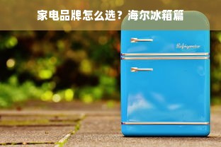 家电品牌怎么选？海尔冰箱篇