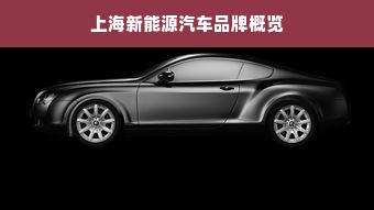 上海新能源汽车品牌概览