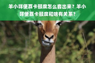 羊小咩便荔卡额度怎么套出来？羊小咩便荔卡额度和啥有关系？