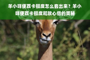 羊小咩便荔卡额度怎么套出来？羊小咩便荔卡额度和放心借的奥秘
