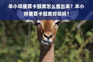 羊小咩便荔卡额度怎么套出来？羊小咩便荔卡额度好涨吗？