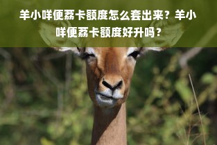 羊小咩便荔卡额度怎么套出来？羊小咩便荔卡额度好升吗？