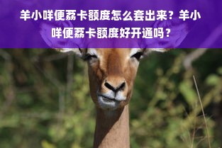 羊小咩便荔卡额度怎么套出来？羊小咩便荔卡额度好开通吗？