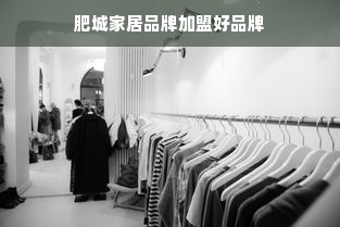 肥城家居品牌加盟好品牌