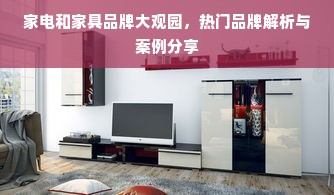 家电和家具品牌大观园，热门品牌解析与案例分享