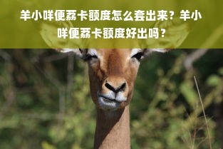 羊小咩便荔卡额度怎么套出来？羊小咩便荔卡额度好出吗？