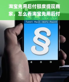 淘宝先用后付额度提现商家，怎么看淘宝先用后付多少额度？