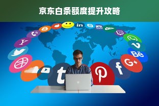 京东白条额度提升攻略