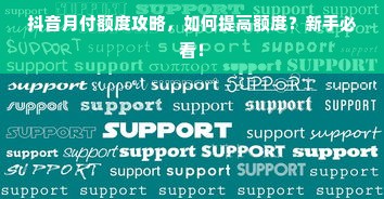 抖音月付额度攻略，如何提高额度？新手必看！