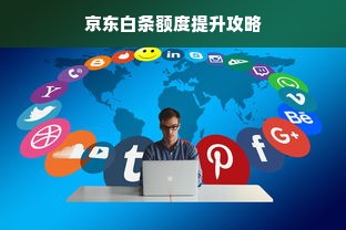 京东白条额度提升攻略