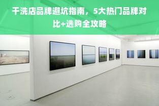 干洗店品牌避坑指南，5大热门品牌对比+选购全攻略