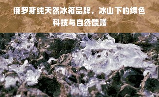 俄罗斯纯天然冰箱品牌，冰山下的绿色科技与自然馈赠