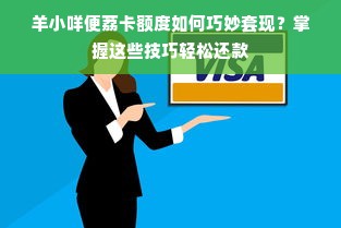 羊小咩便荔卡额度如何巧妙套现？掌握这些技巧轻松还款
