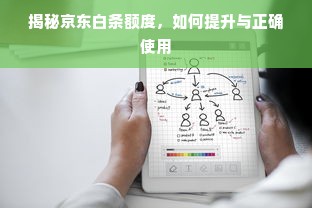 揭秘京东白条额度，如何提升与正确使用