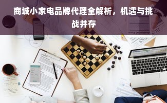 商城小家电品牌代理全解析，机遇与挑战并存