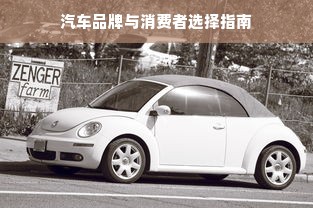 汽车品牌与消费者选择指南
