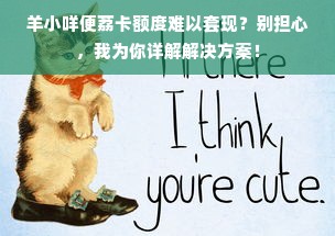 羊小咩便荔卡额度难以套现？别担心，我为你详解解决方案！