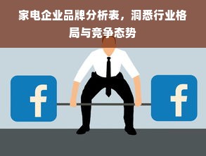 家电企业品牌分析表，洞悉行业格局与竞争态势