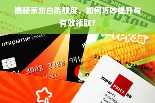 揭秘京东白条额度，如何巧妙提升与有效领取？