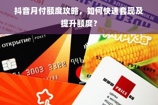 抖音月付额度攻略，如何快速套现及提升额度？