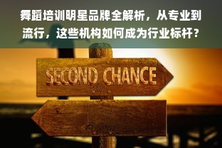舞蹈培训明星品牌全解析，从专业到流行，这些机构如何成为行业标杆？