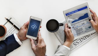 京东白条额度提升攻略，如何快速提高你的信用额度？