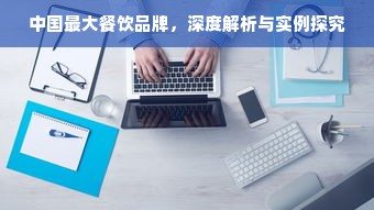 中国最大餐饮品牌，深度解析与实例探究
