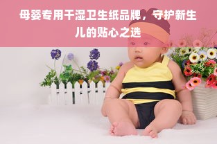 母婴专用干湿卫生纸品牌，守护新生儿的贴心之选