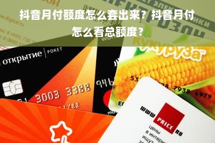 抖音月付额度怎么套出来？抖音月付怎么看总额度？