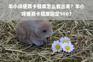 羊小咩便荔卡额度怎么套出来？羊小咩便荔卡额度固定100？