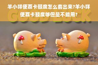 羊小咩便荔卡额度怎么套出来?羊小咩便荔卡额度够但是不能用?
